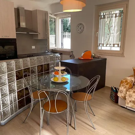 Dalu Not Only Holidays